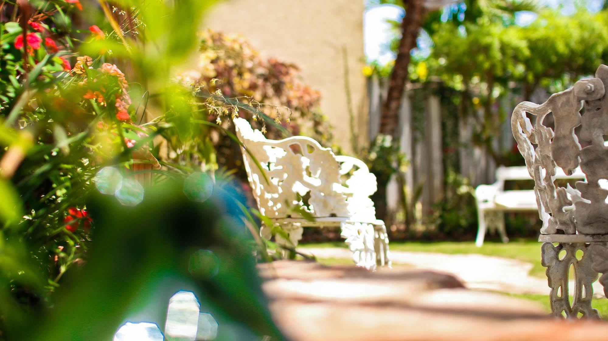 Cattleya Luxury Suites Kingston Exterior foto