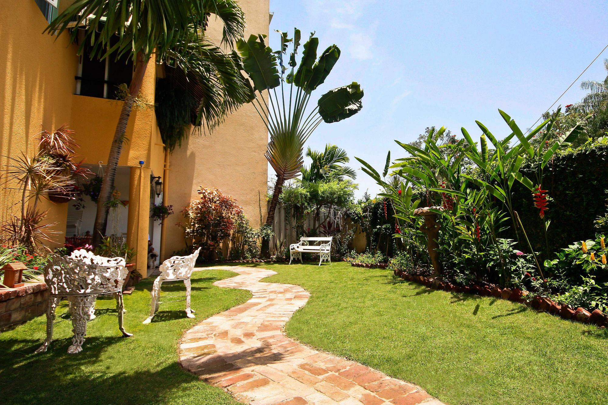 Cattleya Luxury Suites Kingston Exterior foto